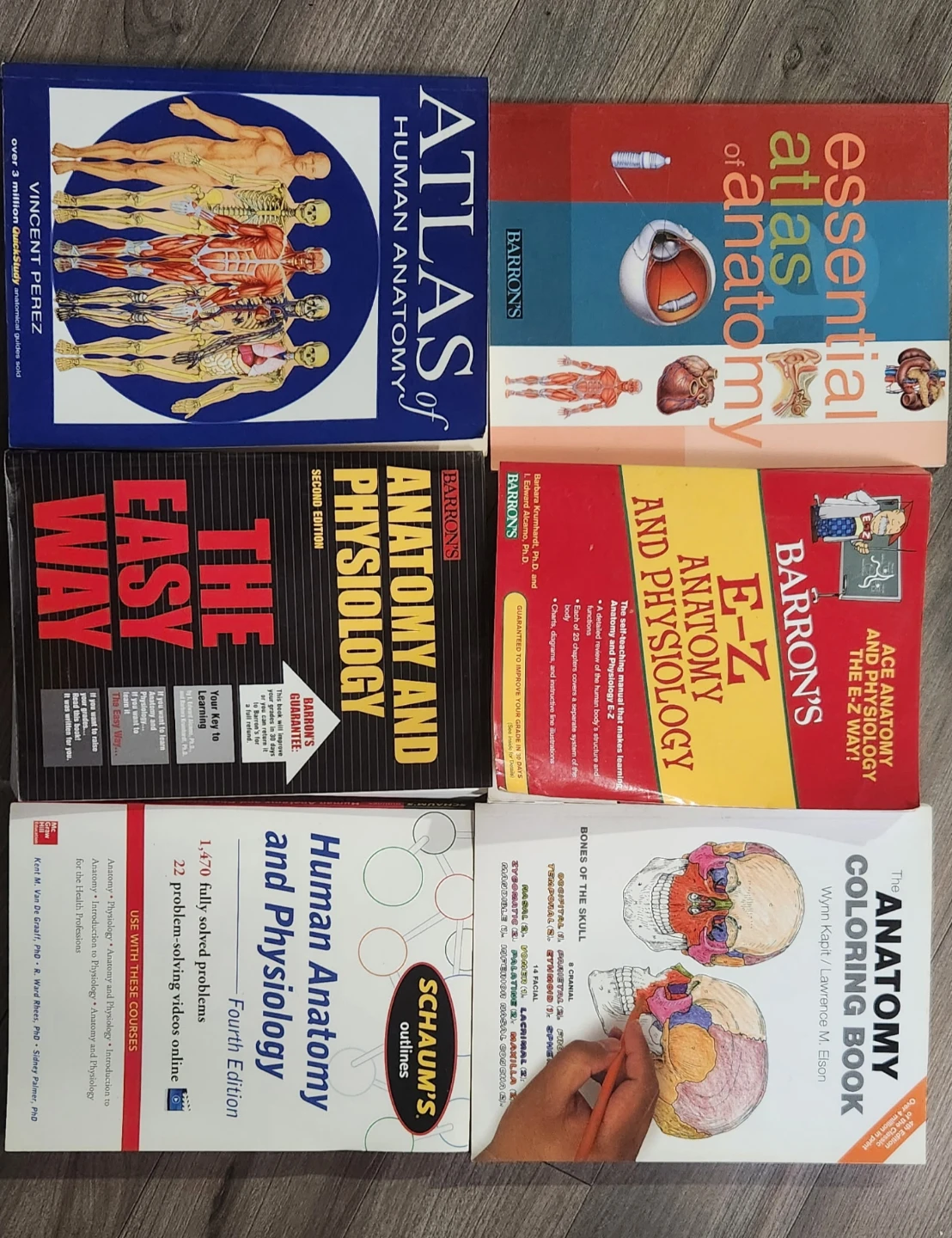 Anatomy & Physiology and Nursing Books Bundle - photo 2