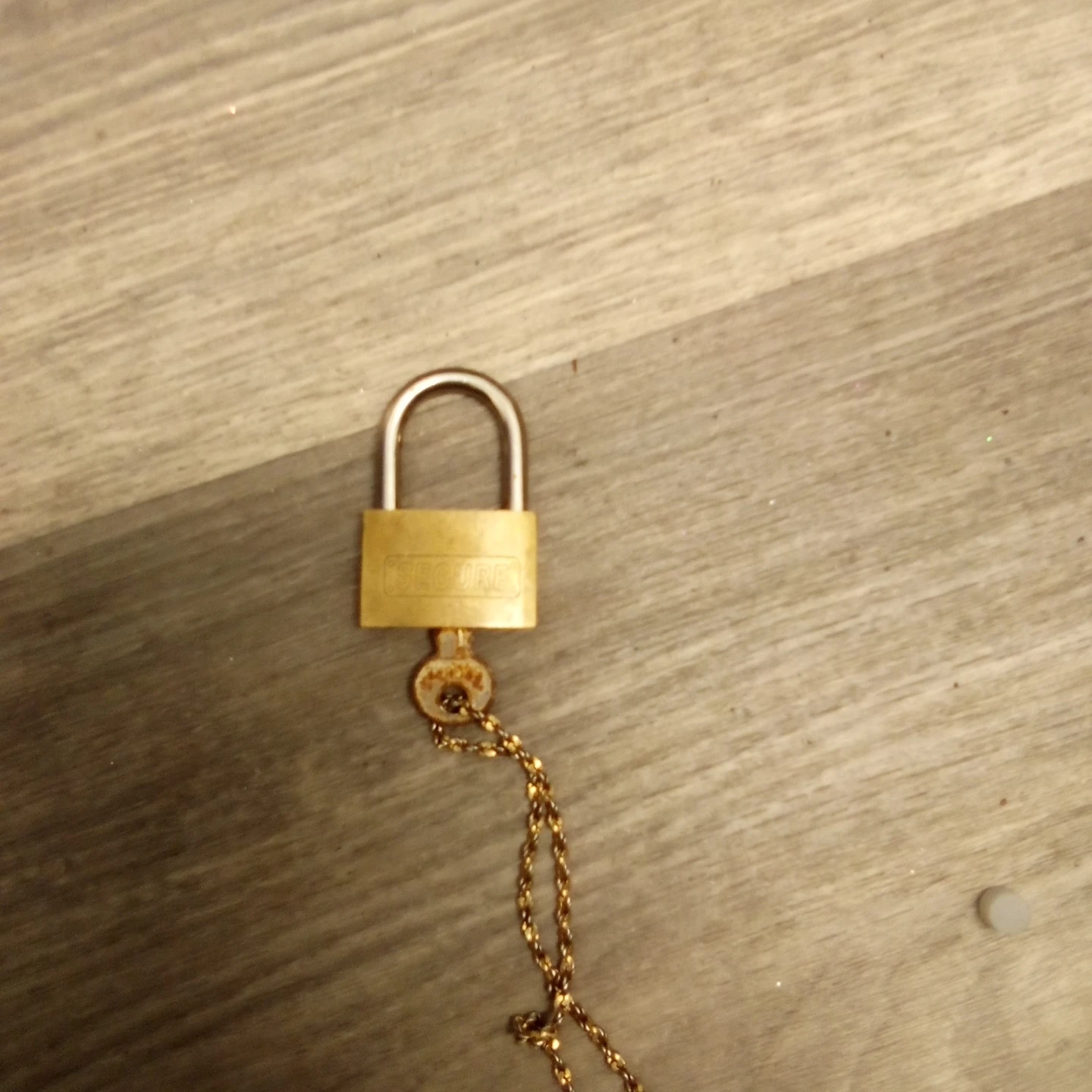 🥕 Corbin Padlock with Key - photo 2