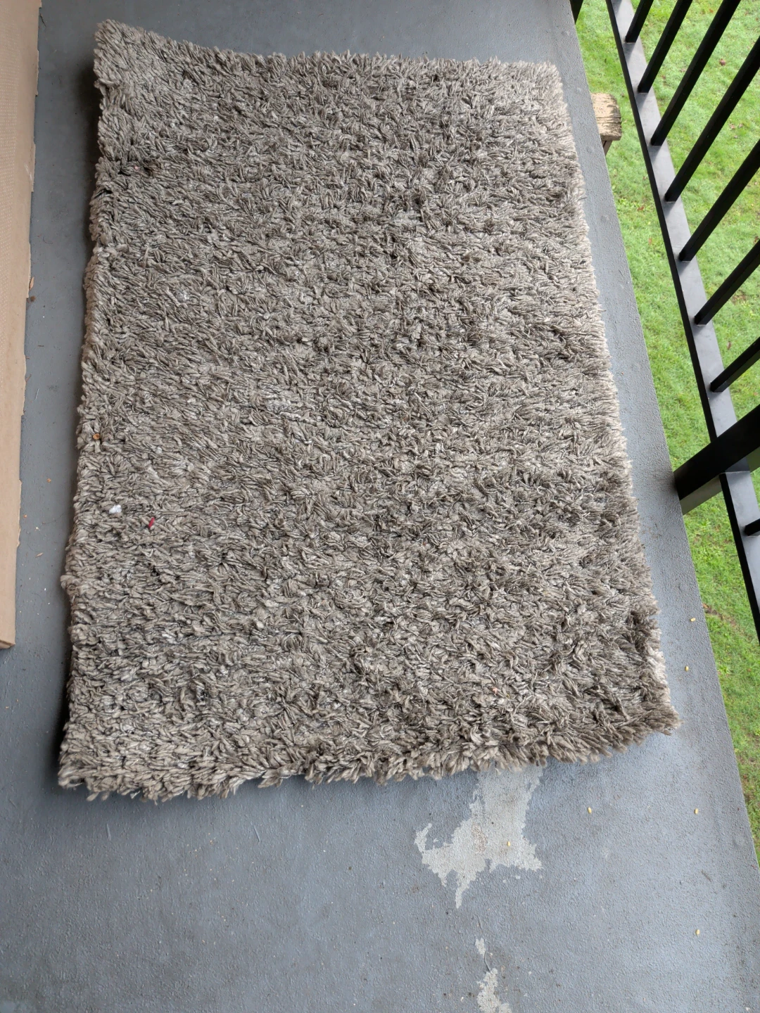 Shag Rug