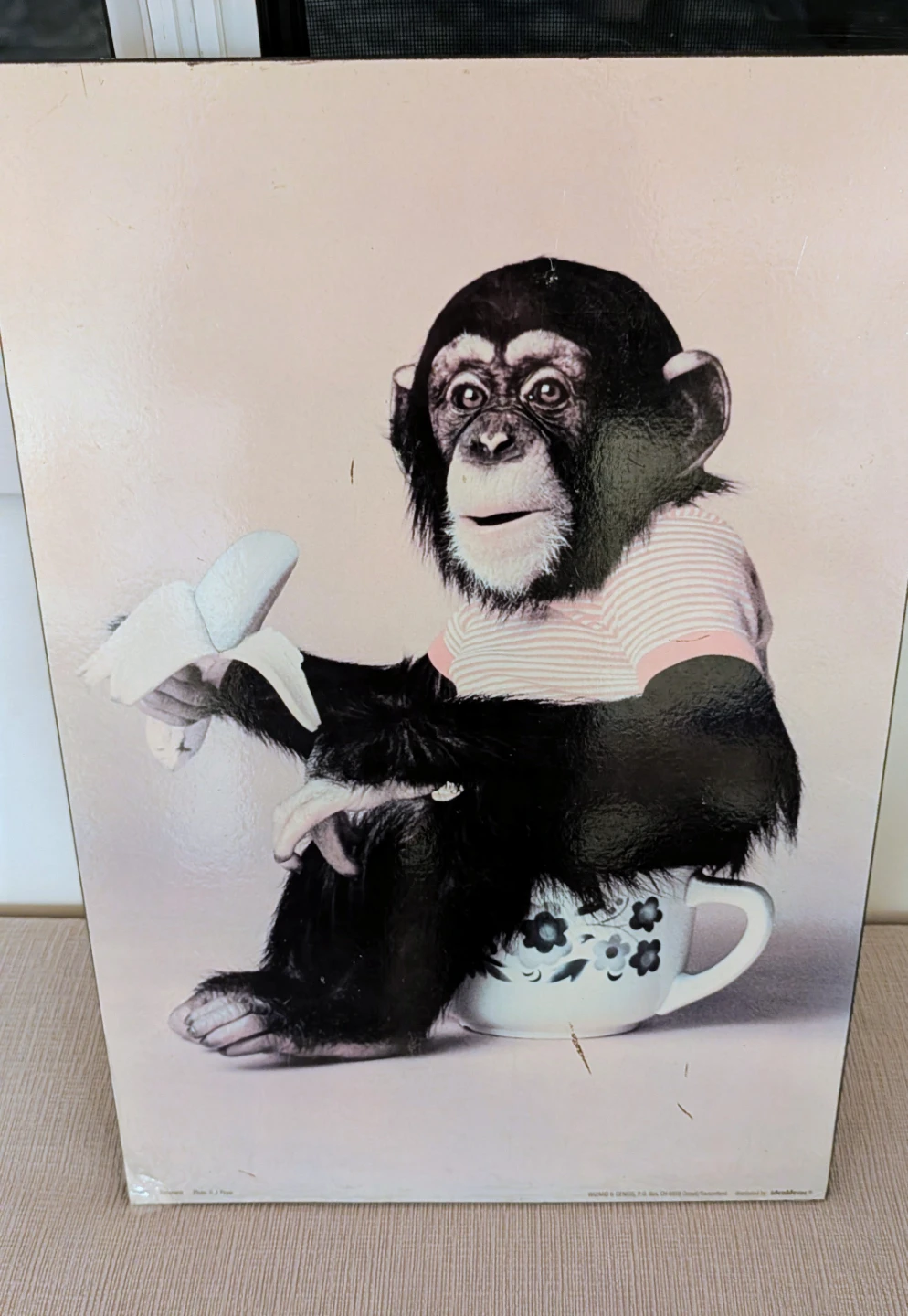Banana Chimp Art Print