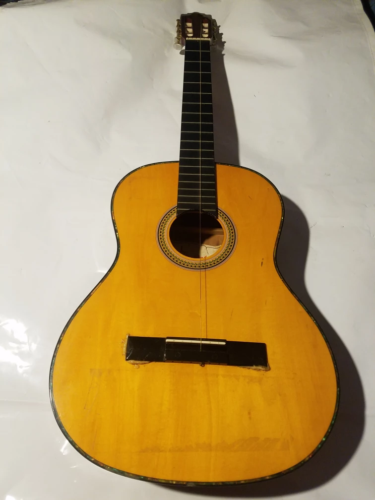 Palmer Barbara-PK2-WB-YW Acoustic Guitar