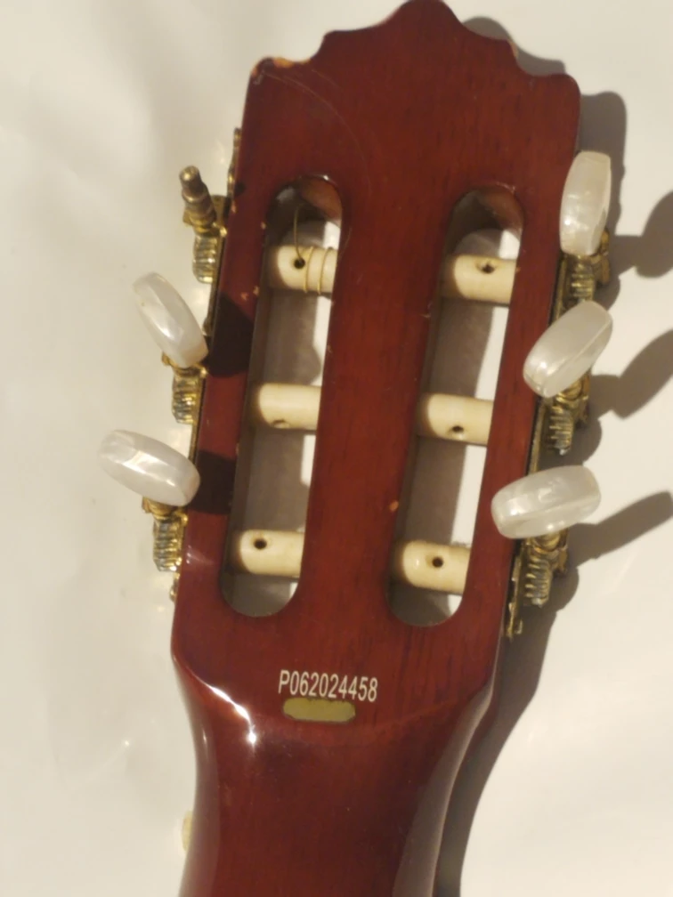Palmer Barbara-PK2-WB-YW Acoustic Guitar - photo 4