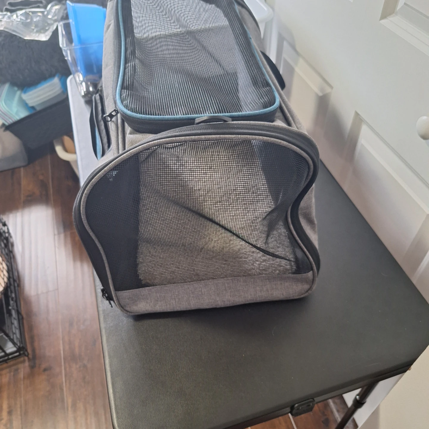 BurgeonNest Pet Carrier Bag - photo 5