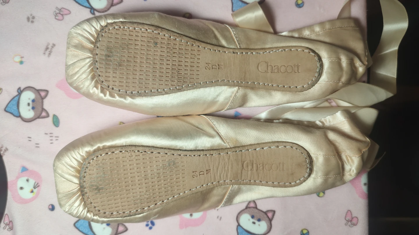 Chacott Pointe Shoes - Size 22 1/2