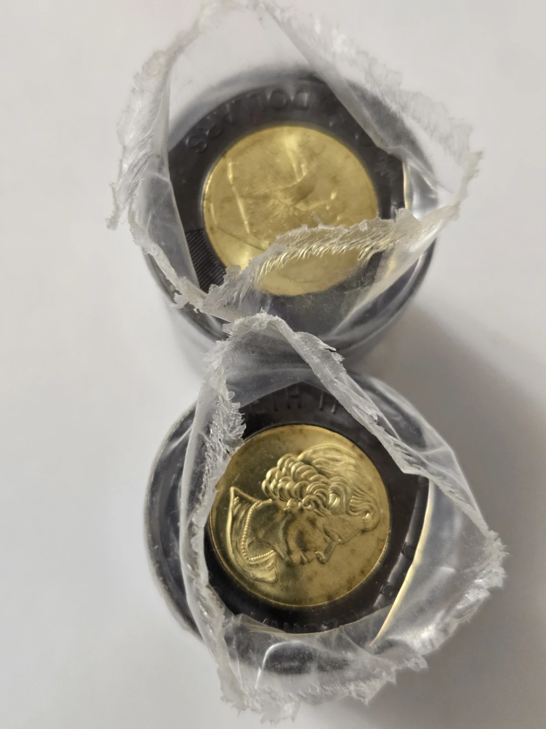 Roll of Canadian Loonie Coins