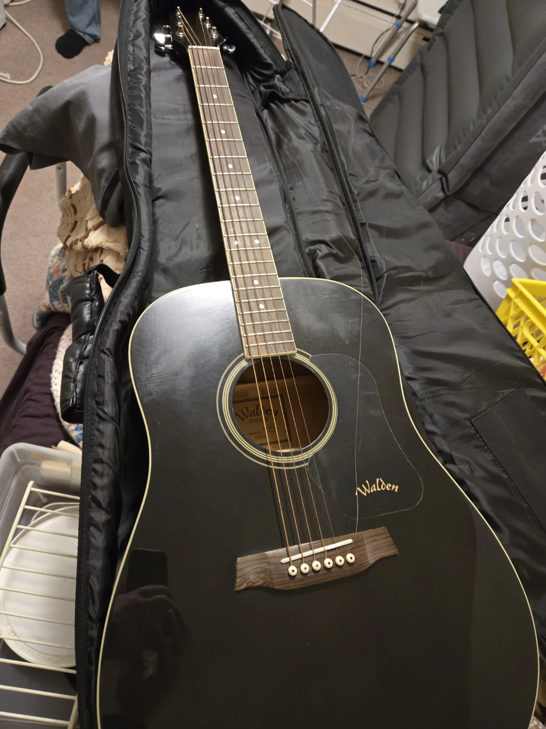 Walden Acoustic Guitar in Gig Bag