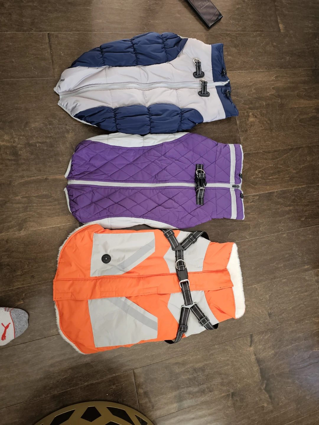 Dog Winter Jackets (New)each $35