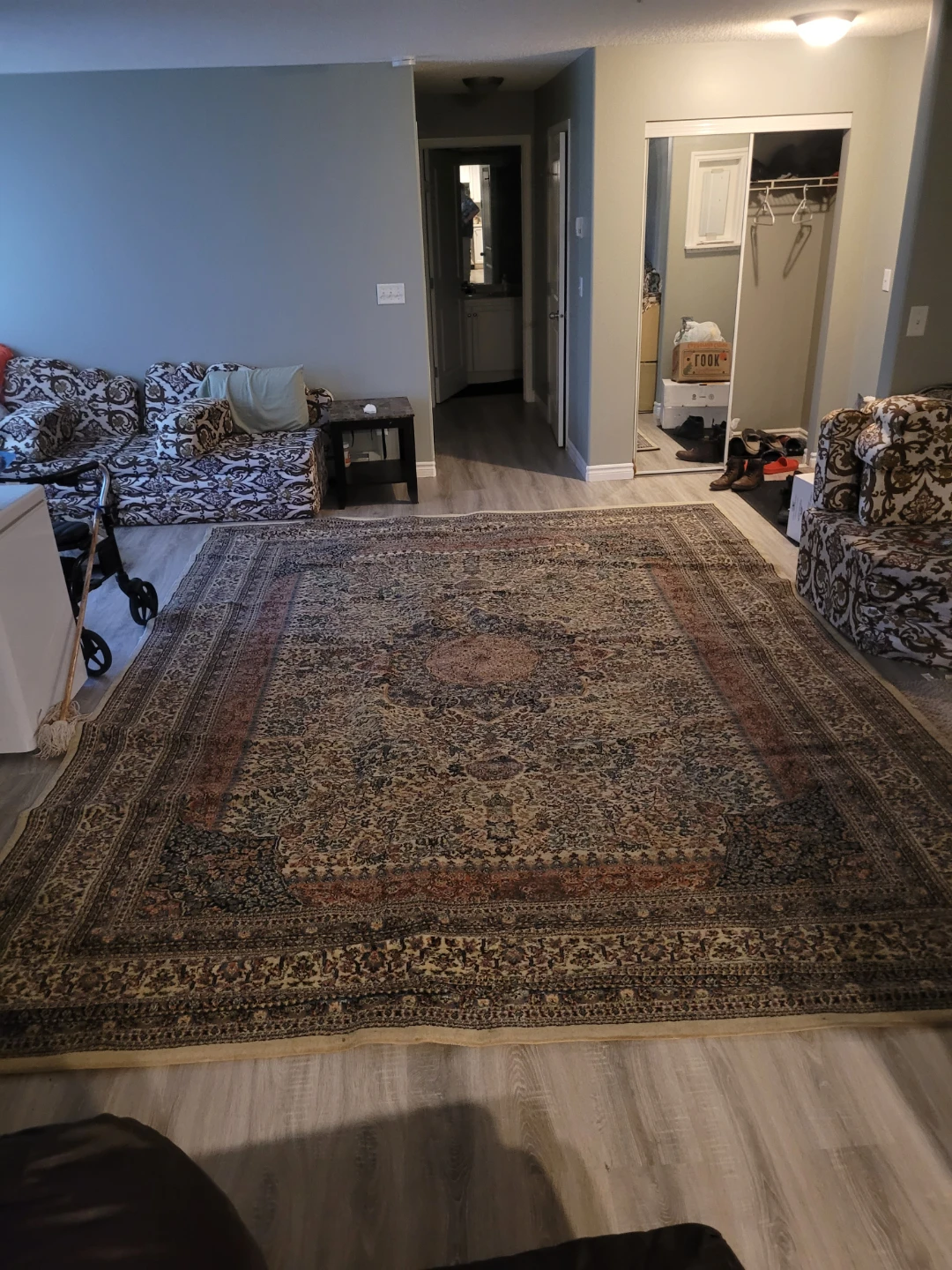 Large Area Rug