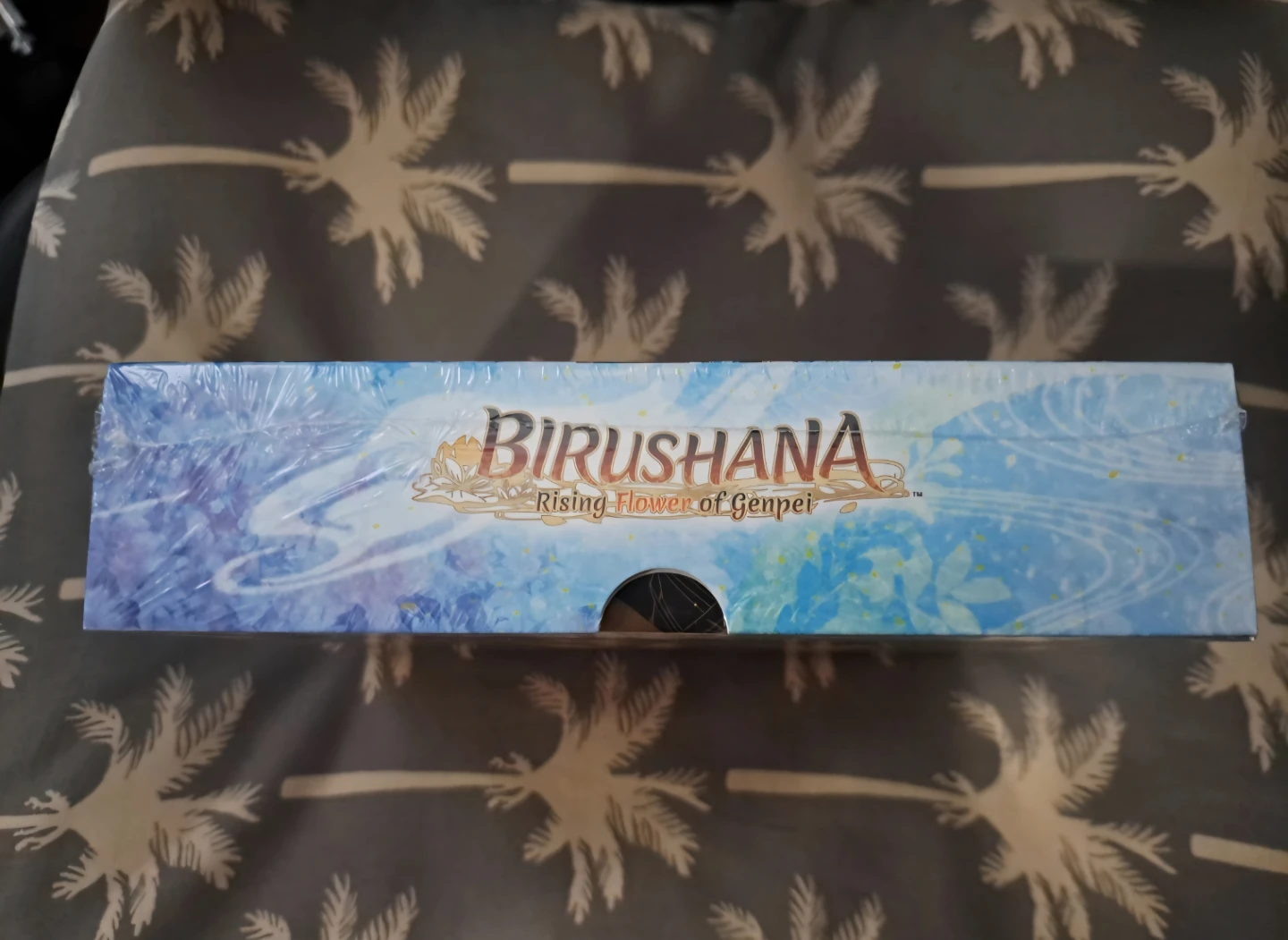 Birushana Nintendo Switch - photo 4