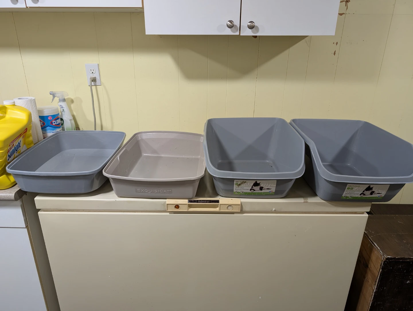 Litter Boxes