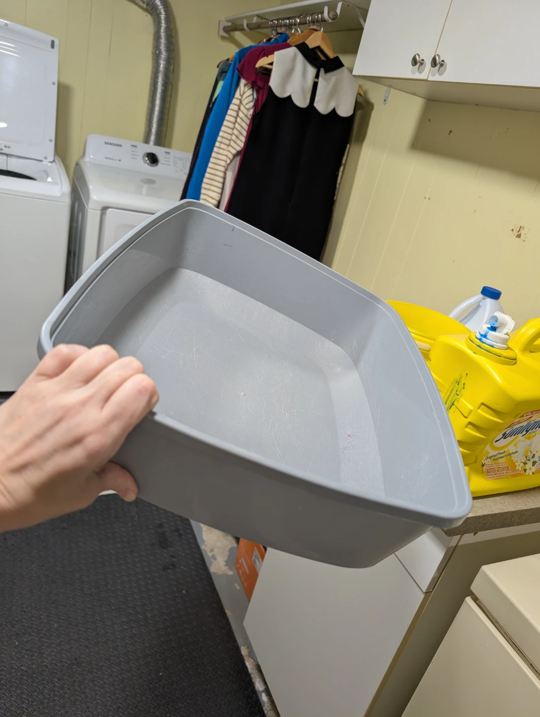 Litter Boxes - photo 4
