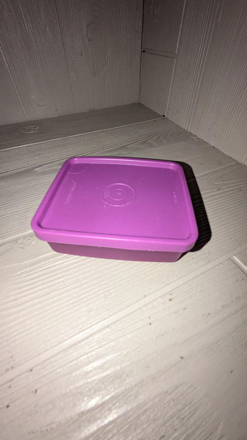 Tupperware Purple Food Container