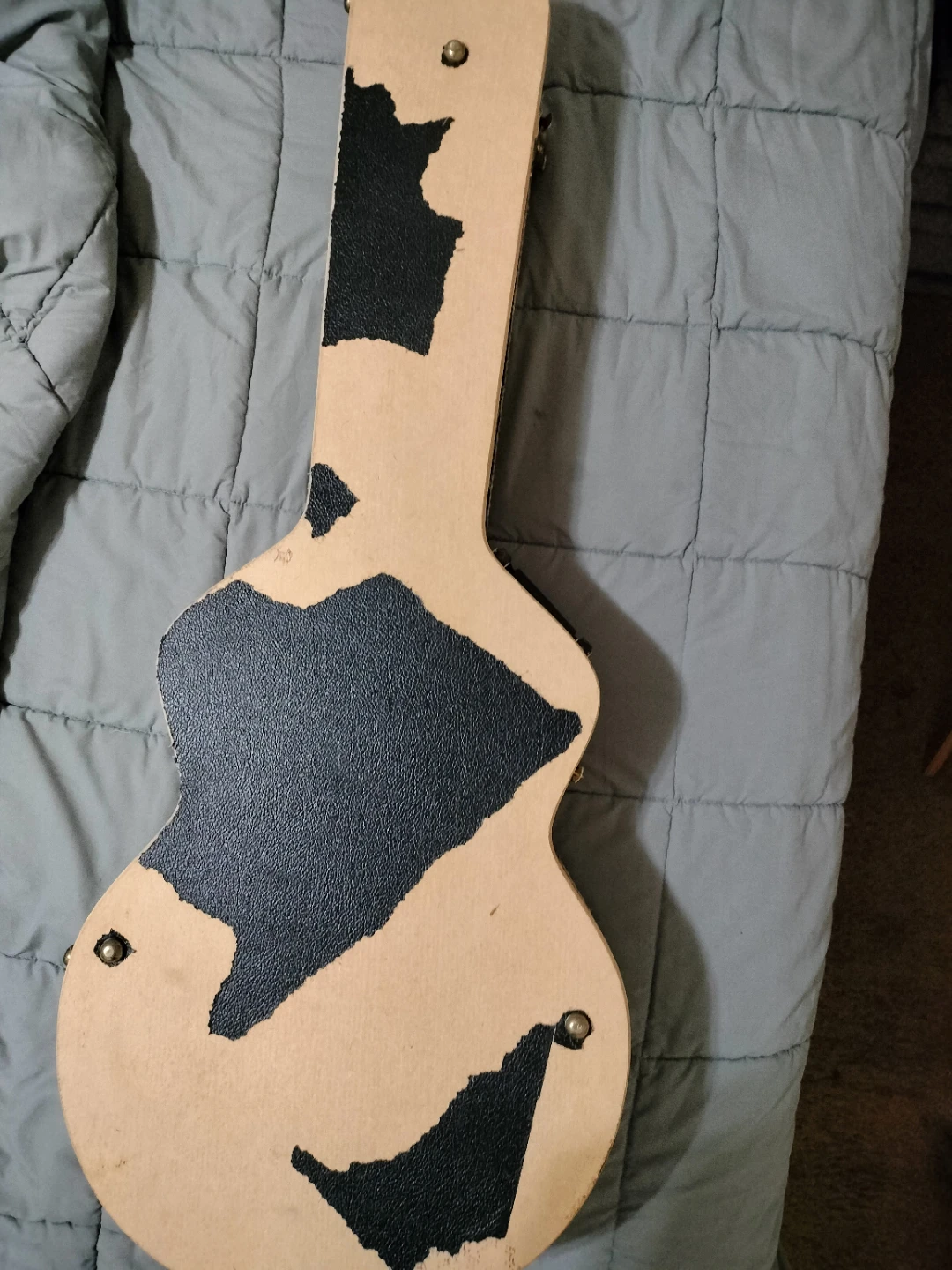 Hard Guitar Case