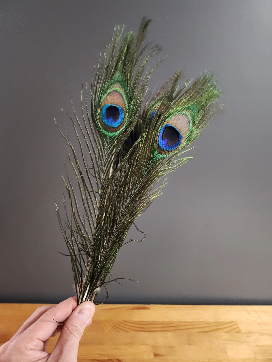 Decorative Peacock Feathers - Art and Crafts Supplies