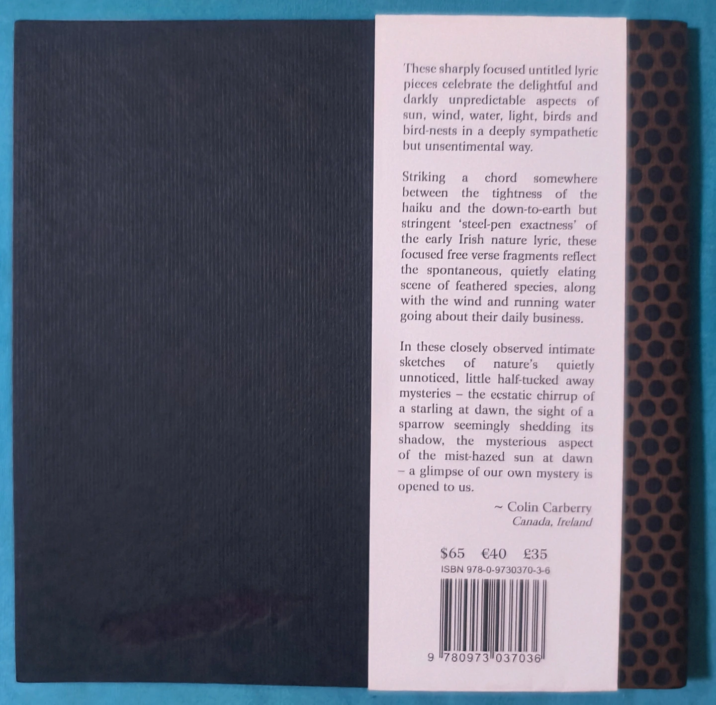 Nature Notes: Fragments for an Elegy by Michael Lee Rattigan - photo 2