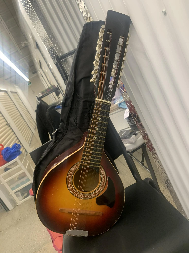 Mandolin Musical Instrument