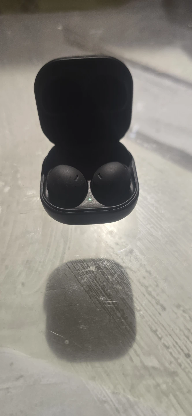 Samsung Galaxy Buds 2 Pro - Graphite - photo 2