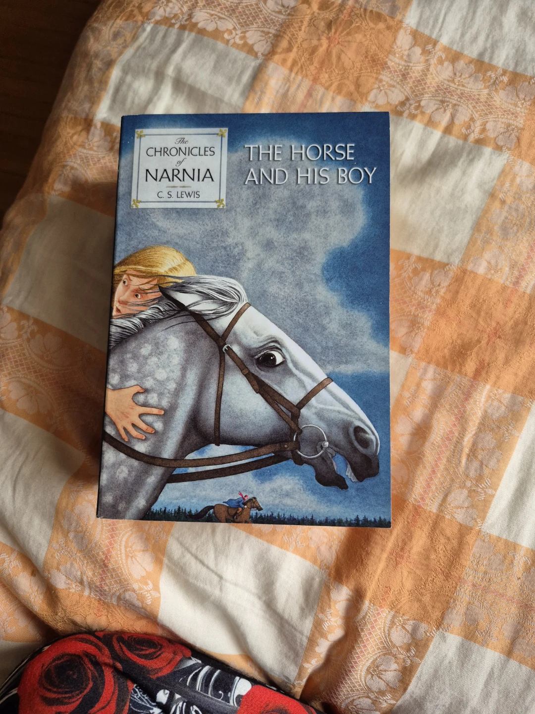 FULL SET; The Chronicles of Narnia Books by C.S. Lewis - photo 3