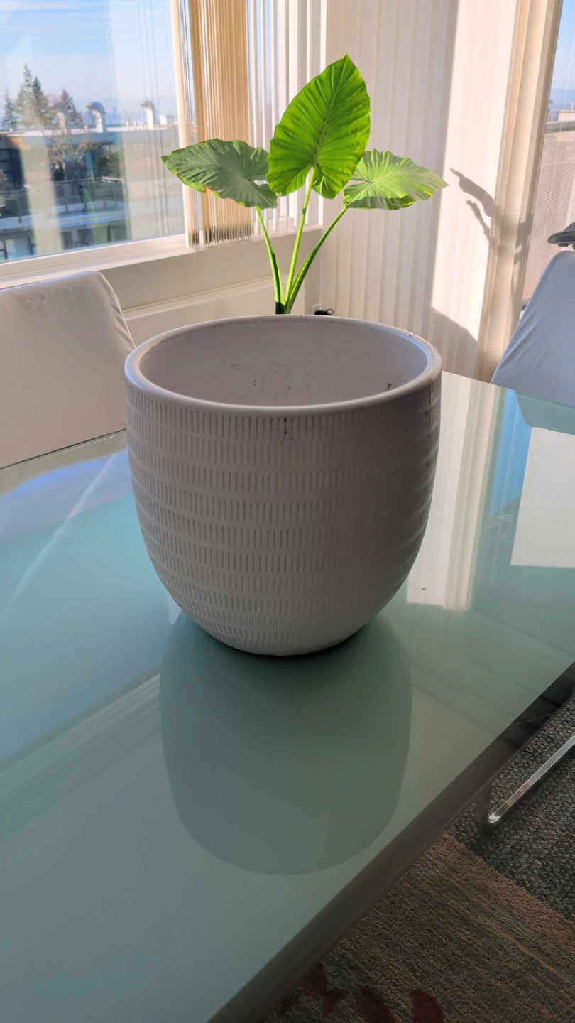 White Textured Ceramic Plant Pot