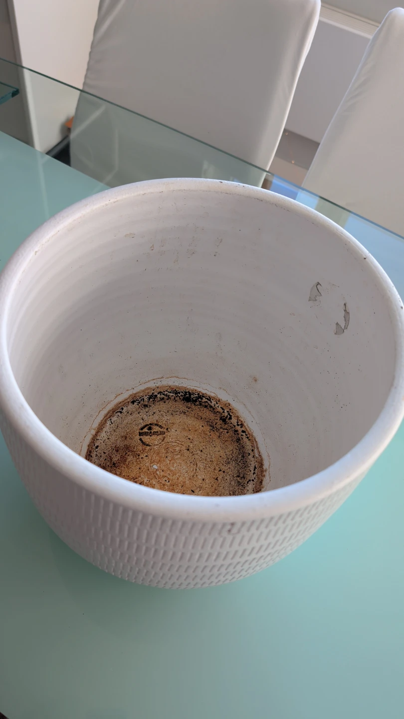 White Textured Ceramic Plant Pot - photo 2