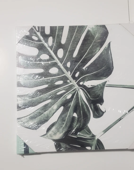 York & Lane Oil Canvas - Monstera Leaf - 16x16 (2) - photo 2