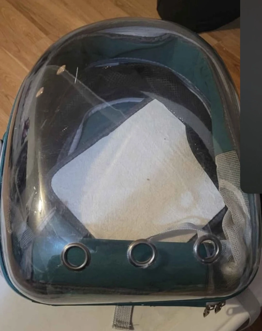 Pet Carrier Backpack - Green
