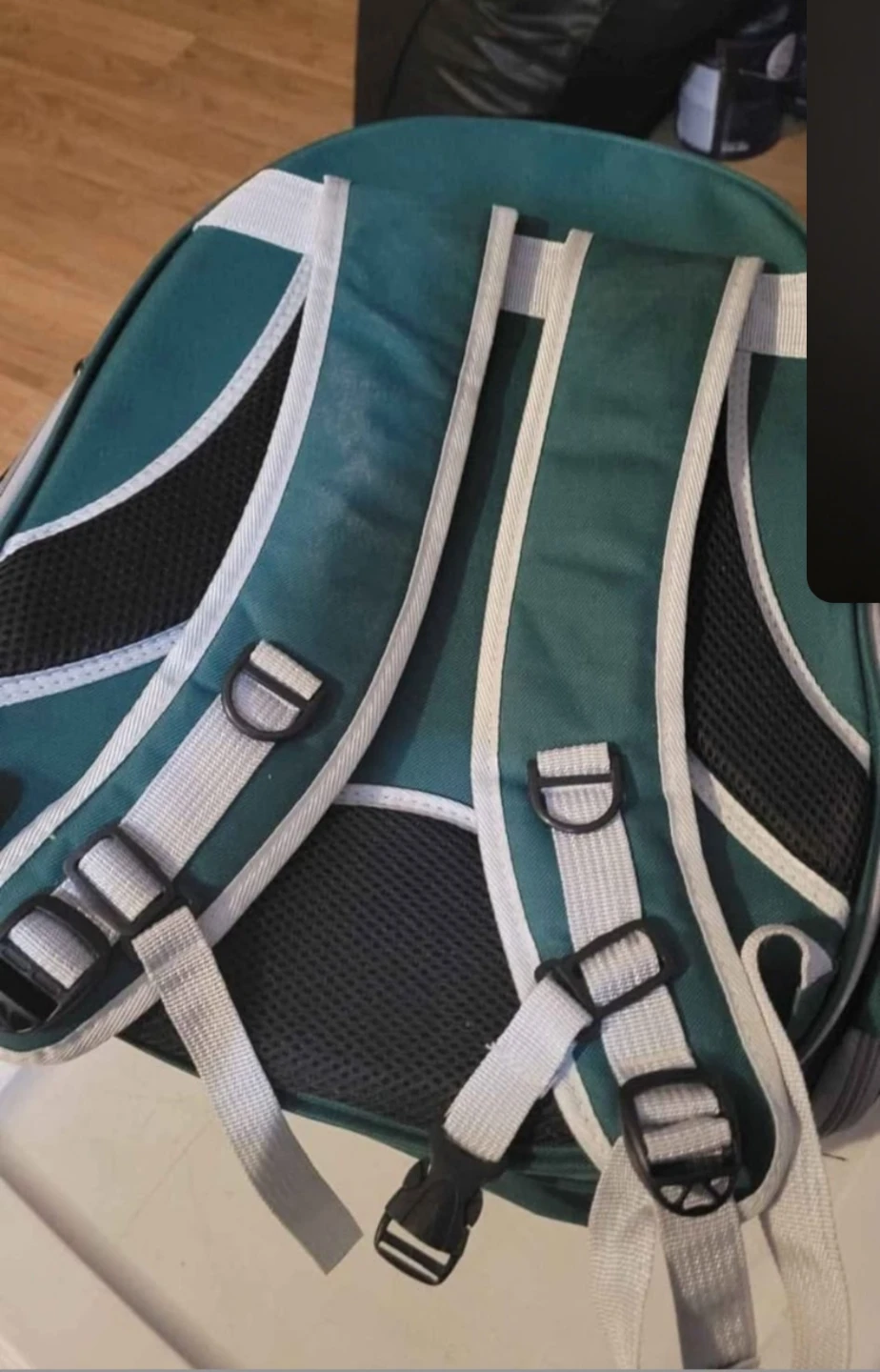 Pet Carrier Backpack - Green - photo 3