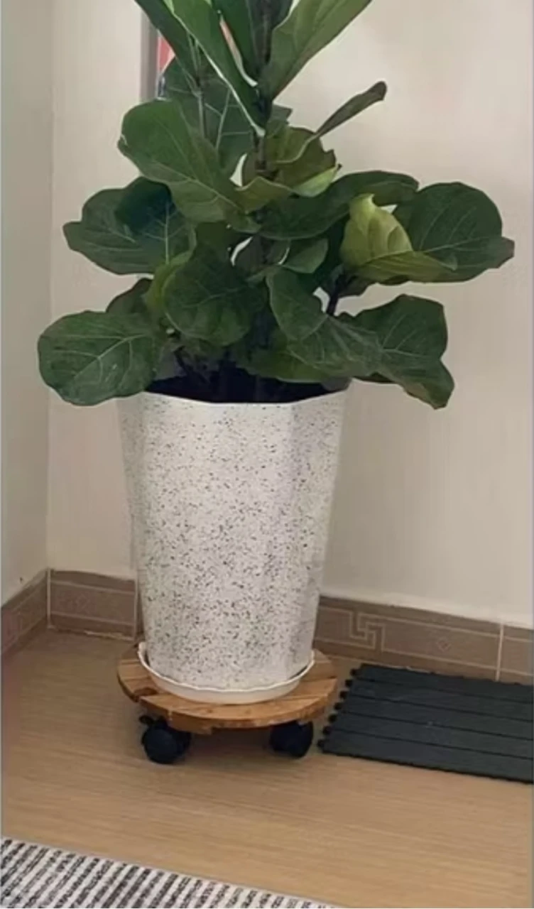 Wooden Plant Stand with Wheels - photo 4