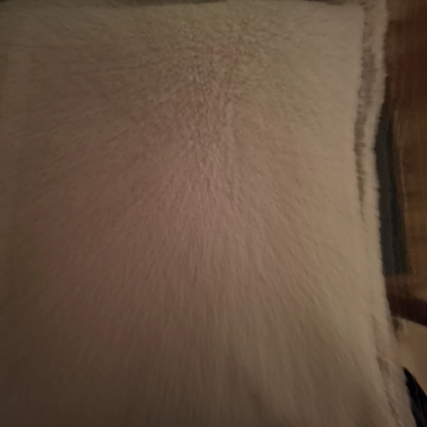 Two simons  sherpa throw pillows - photo 3