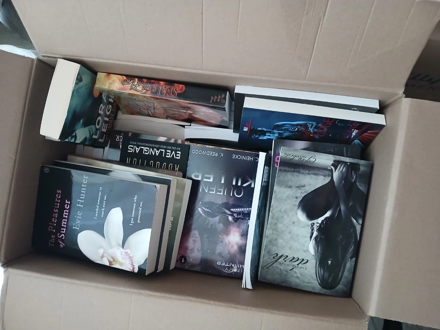 🌶spicy adult books🌶 bundle - random assortment of 5+ books