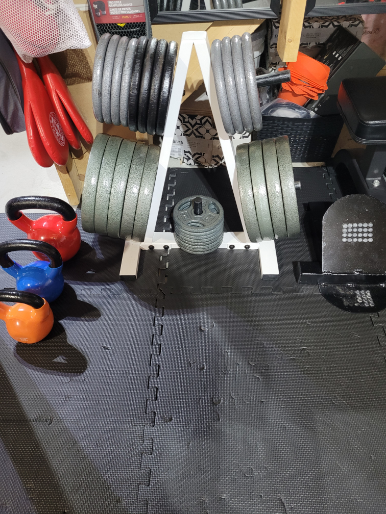 Weight Plates and Rack
