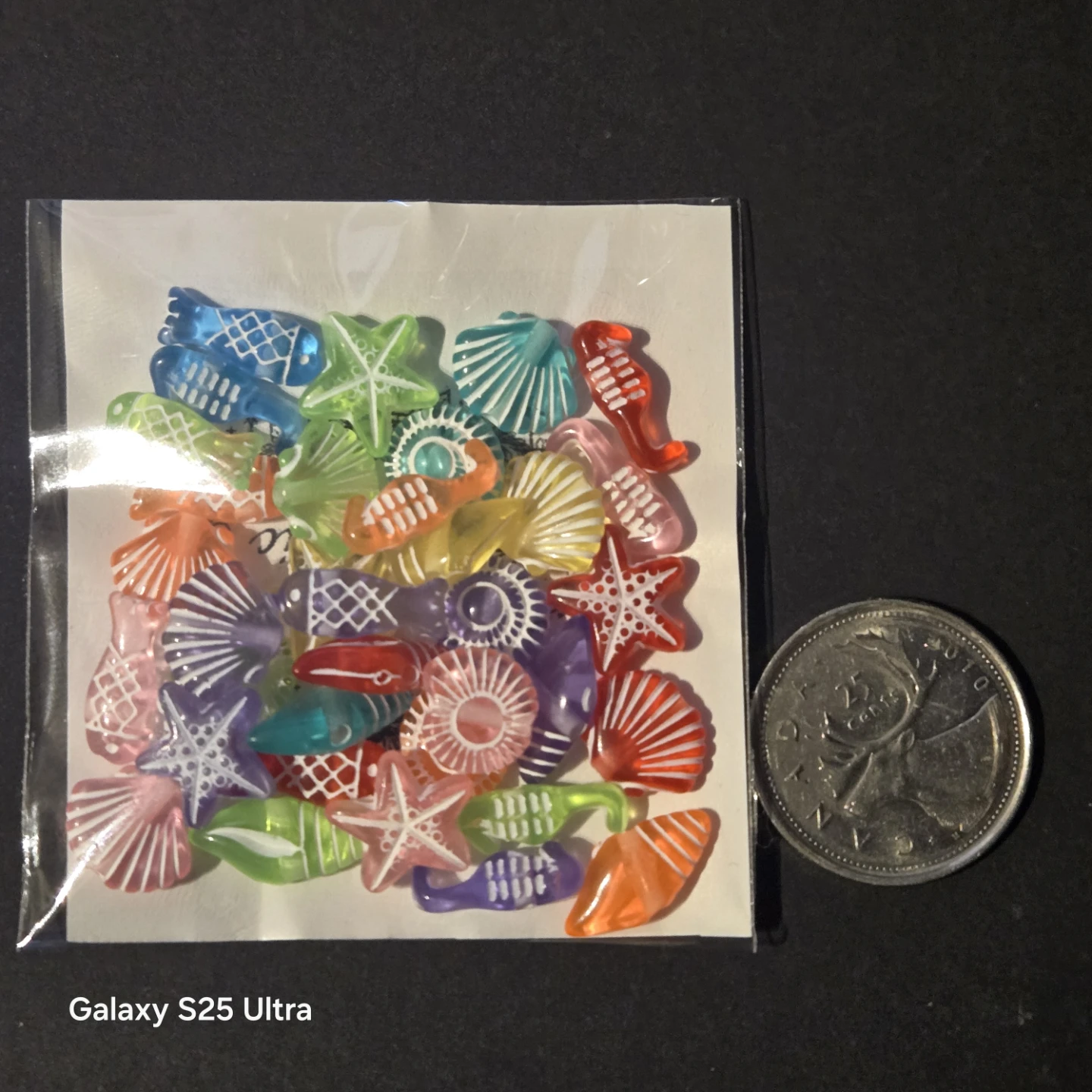Assorted Seashell & Fish Craft Beads