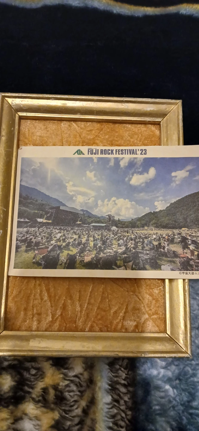 Framed Fuji Rock Festival '23 Print