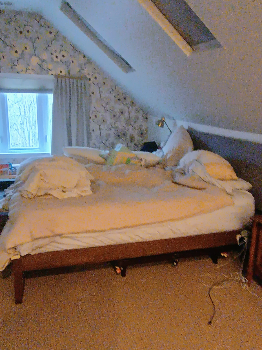 OLAM Cleaning Service