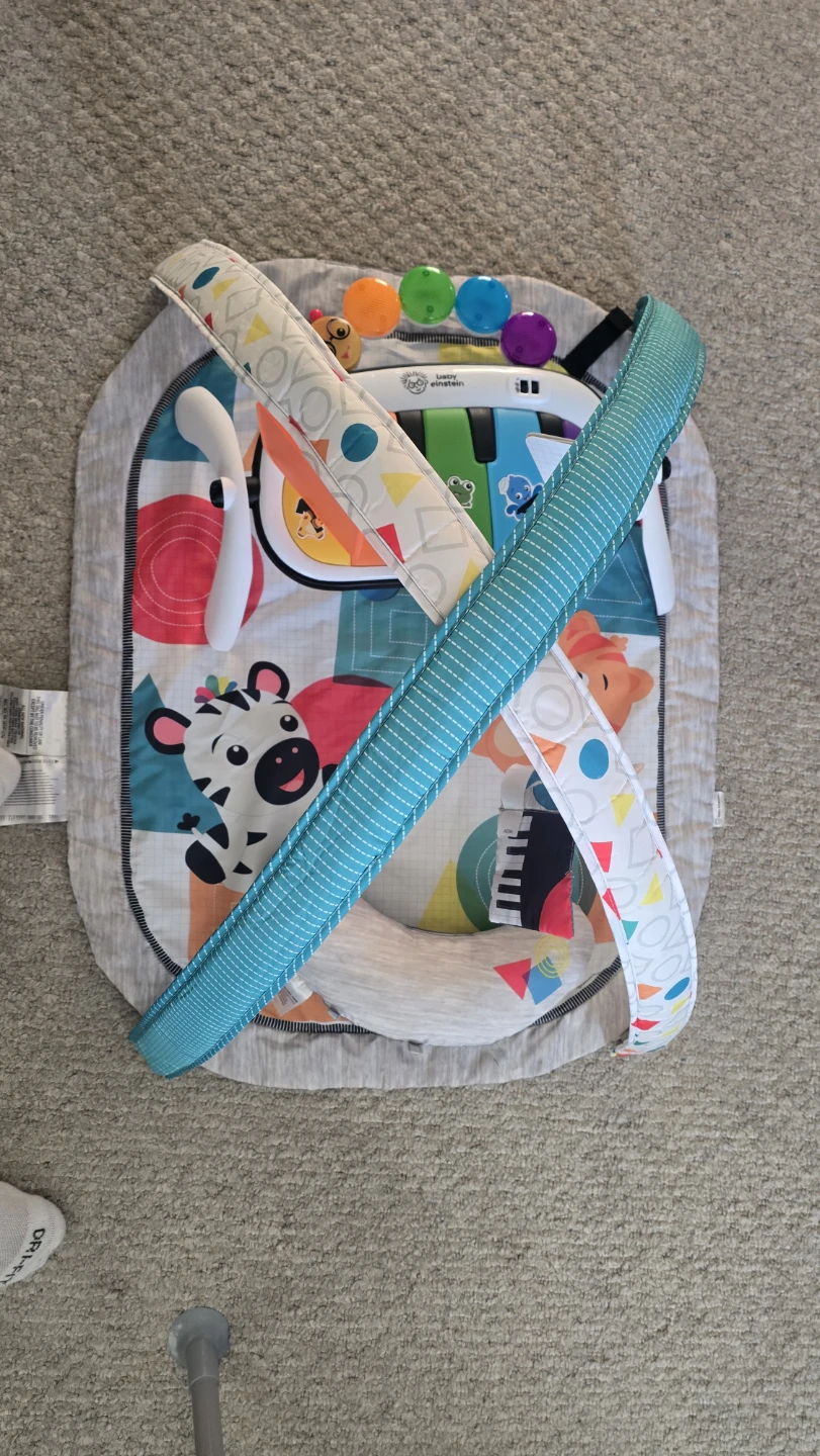 Baby Einstein Activity Gym - photo 2