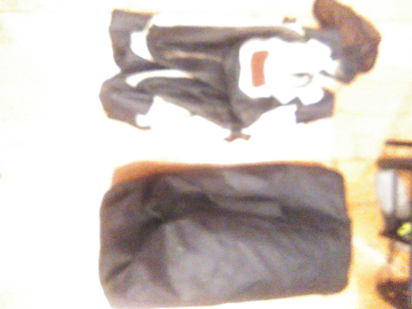 Garnpet Dog Carrier Bag - photo 2
