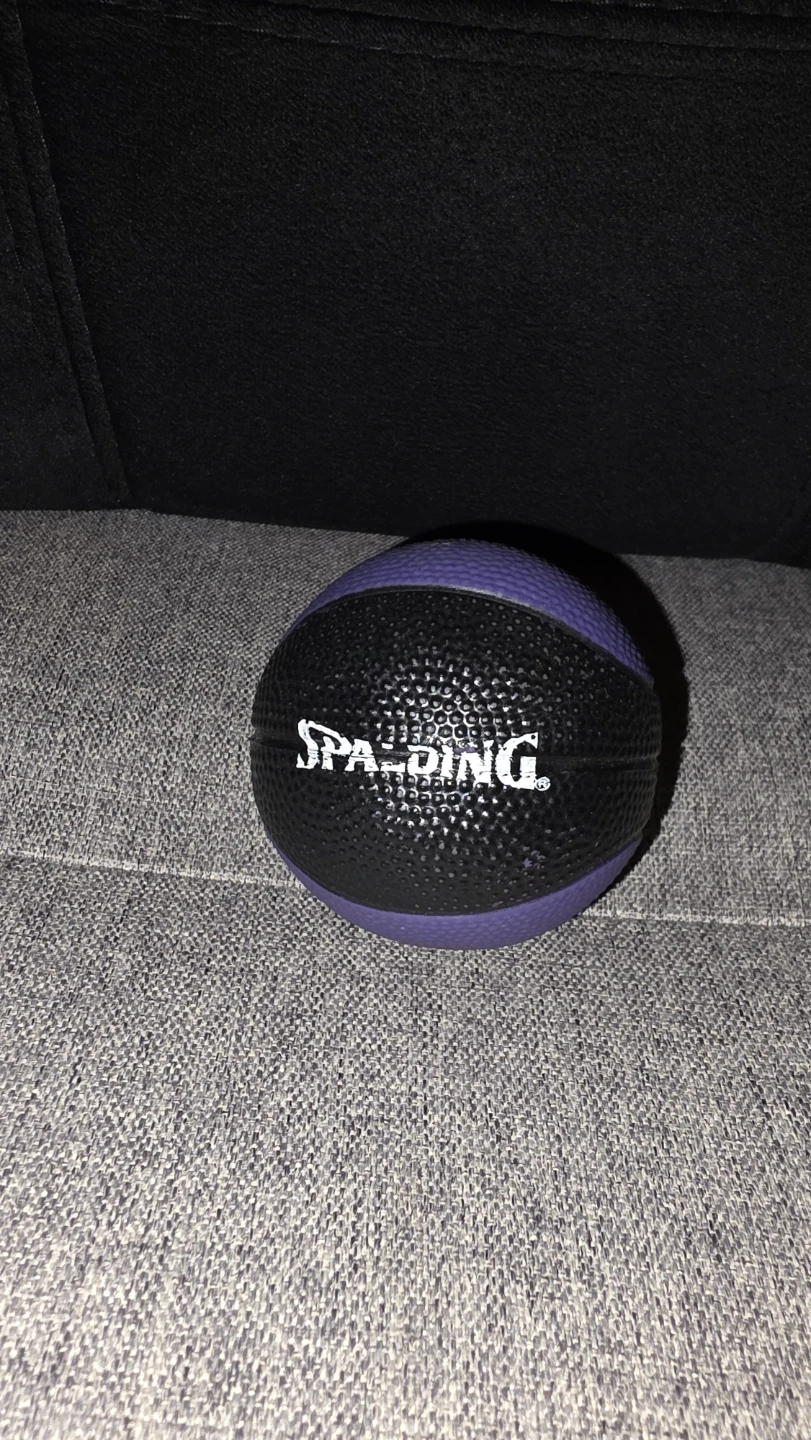 VINTAGE Toronto Raptors Mini Basketball - photo 2
