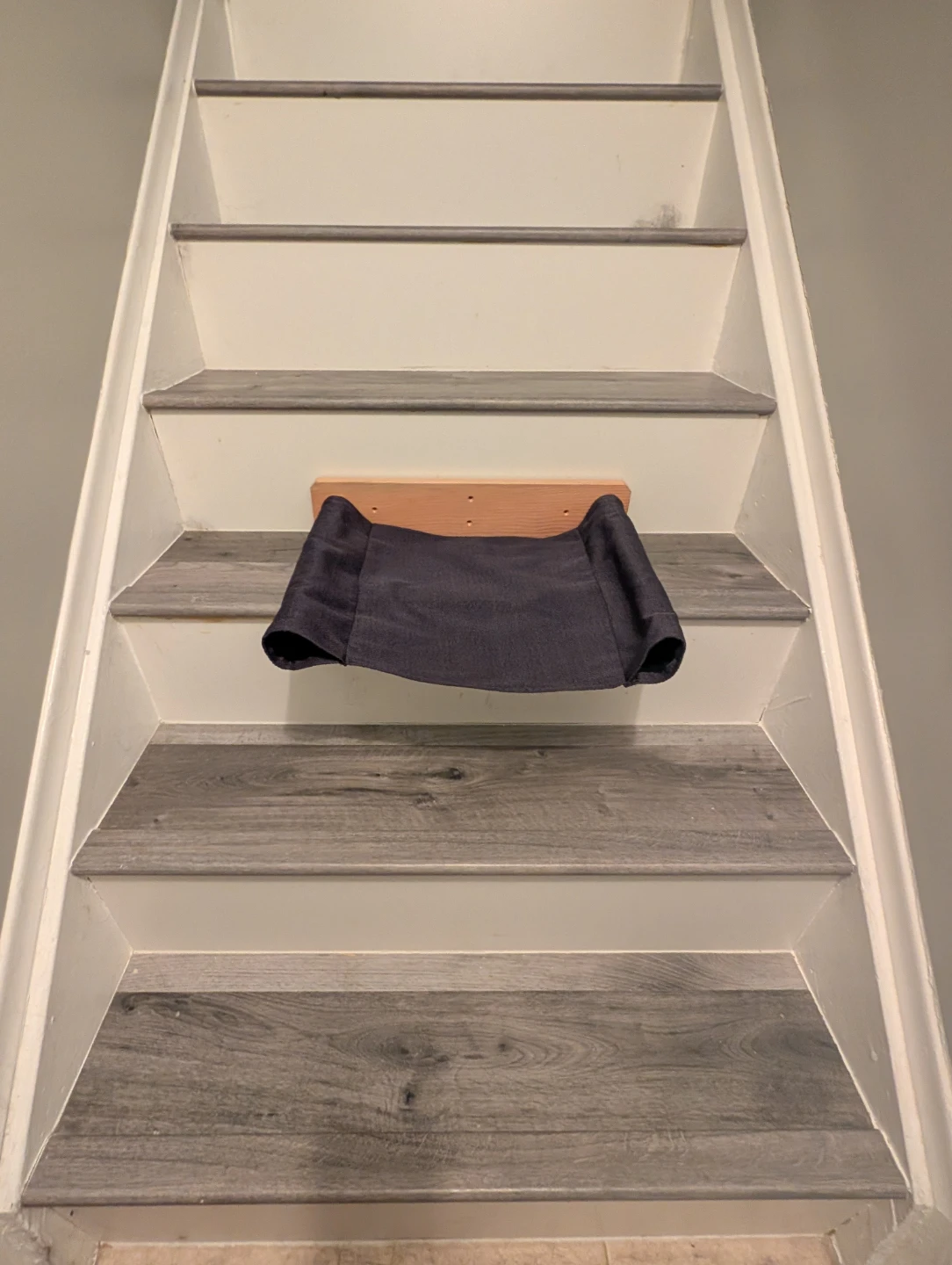 Wall-mounted cat hammock
