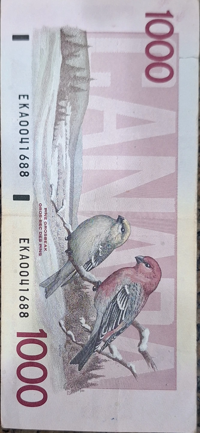 $1000 canadian bill