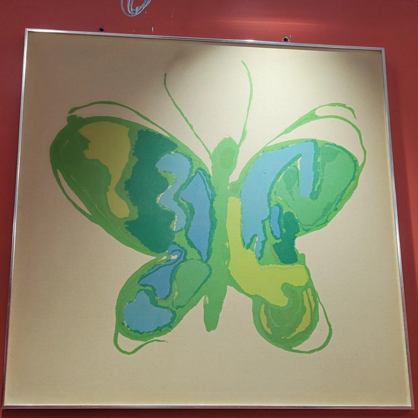 Framed Butterfly Art