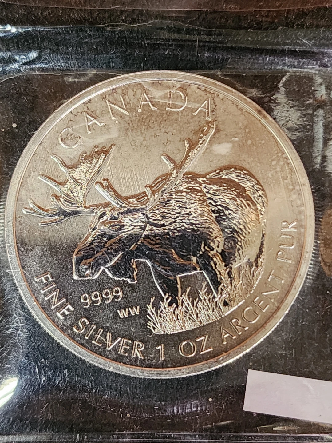 2012 Canadian $5 Silver Coin