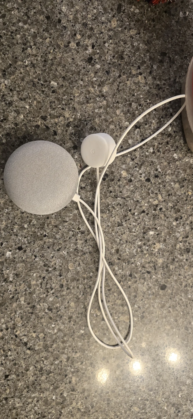 Google Nest Mini Smart Speaker