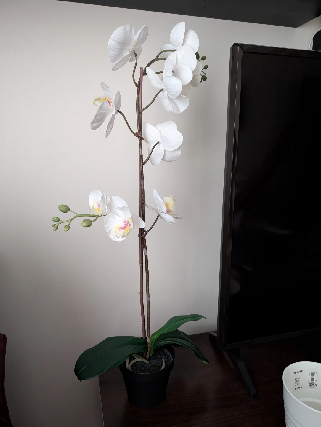IKEA MUSKOT Plant Pot with Artificial Orchid - photo 3