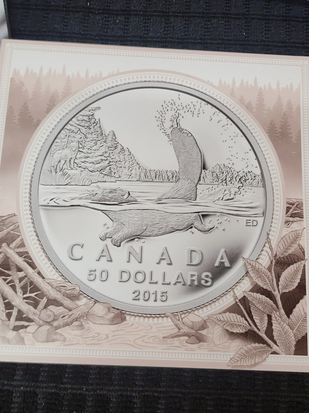 2015 $50 Fine Silver Coin - Swimming Beaver