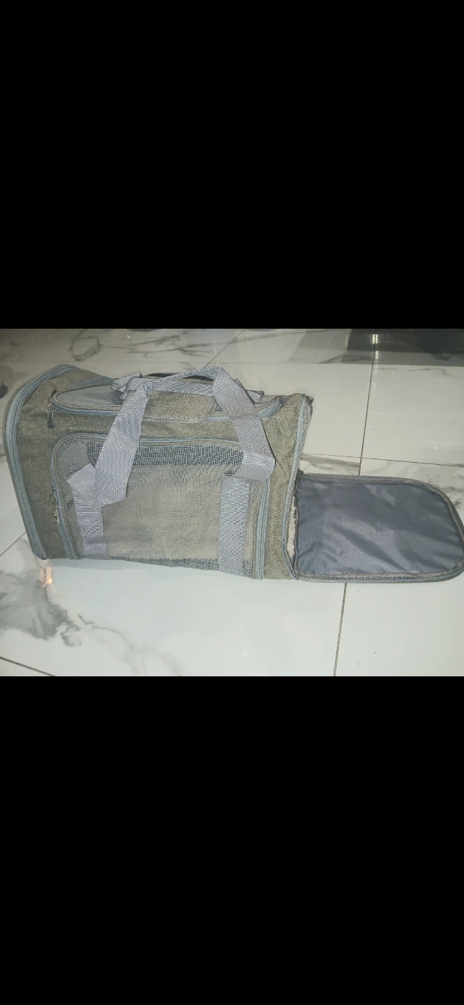 Pet Carrier - Gray