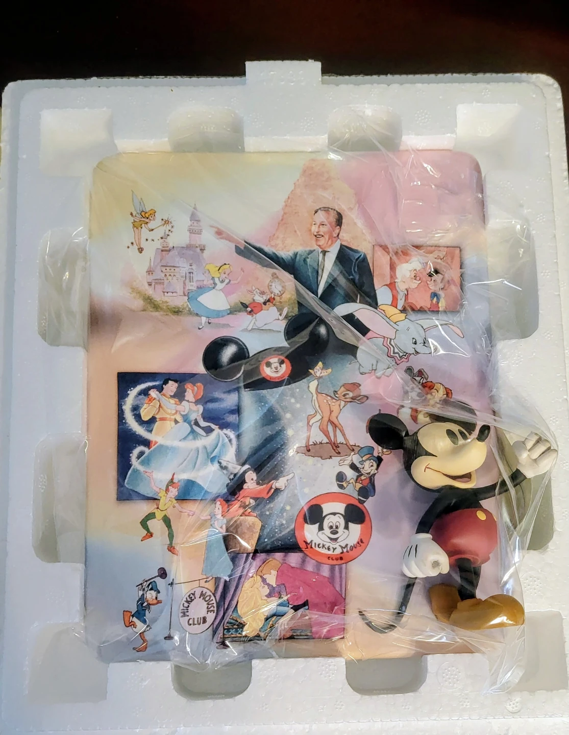 🥕 Walt Disney's 100-Year Anniversary Plate - photo 3