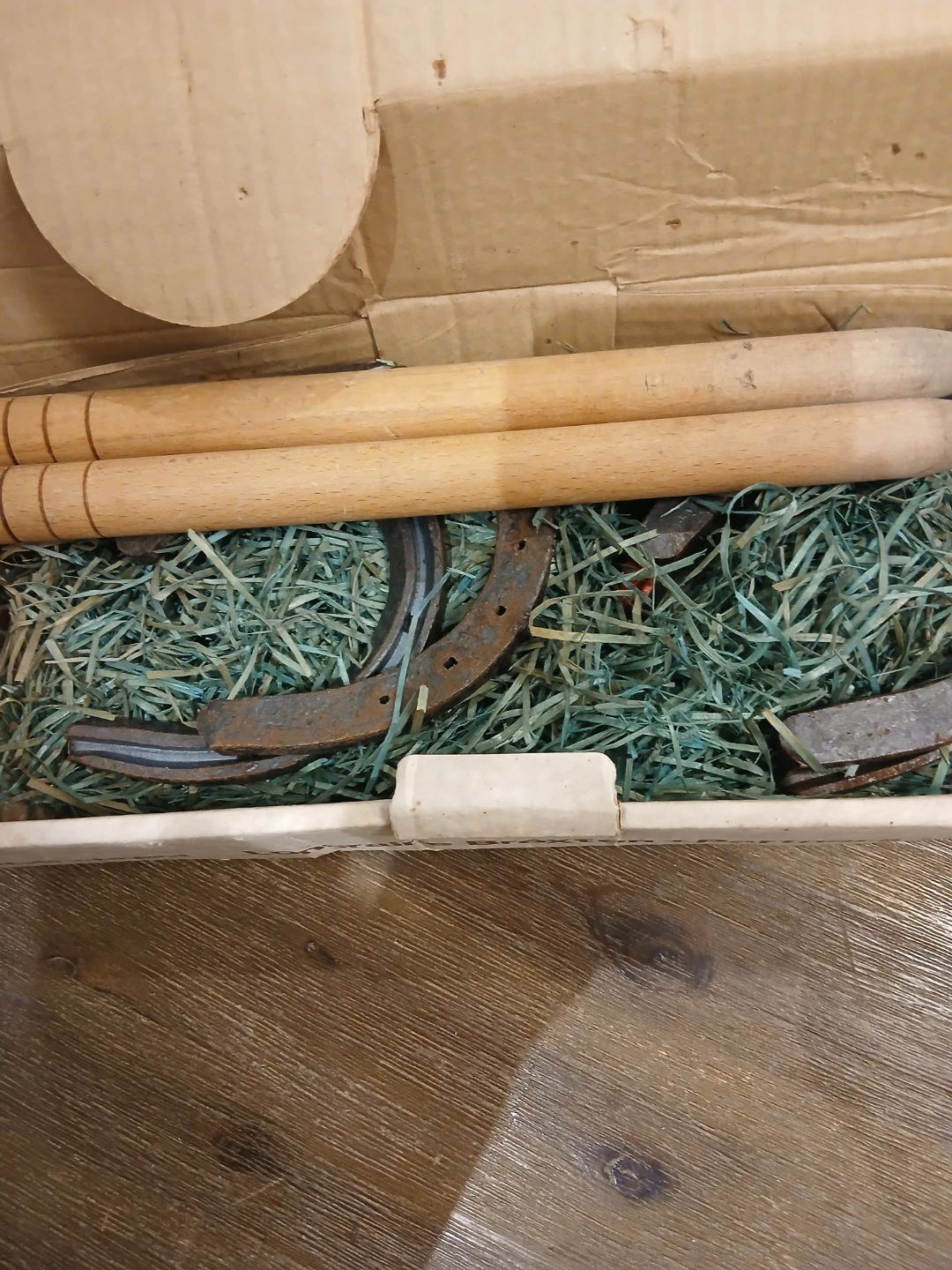 Horseshoe Toss Game Set