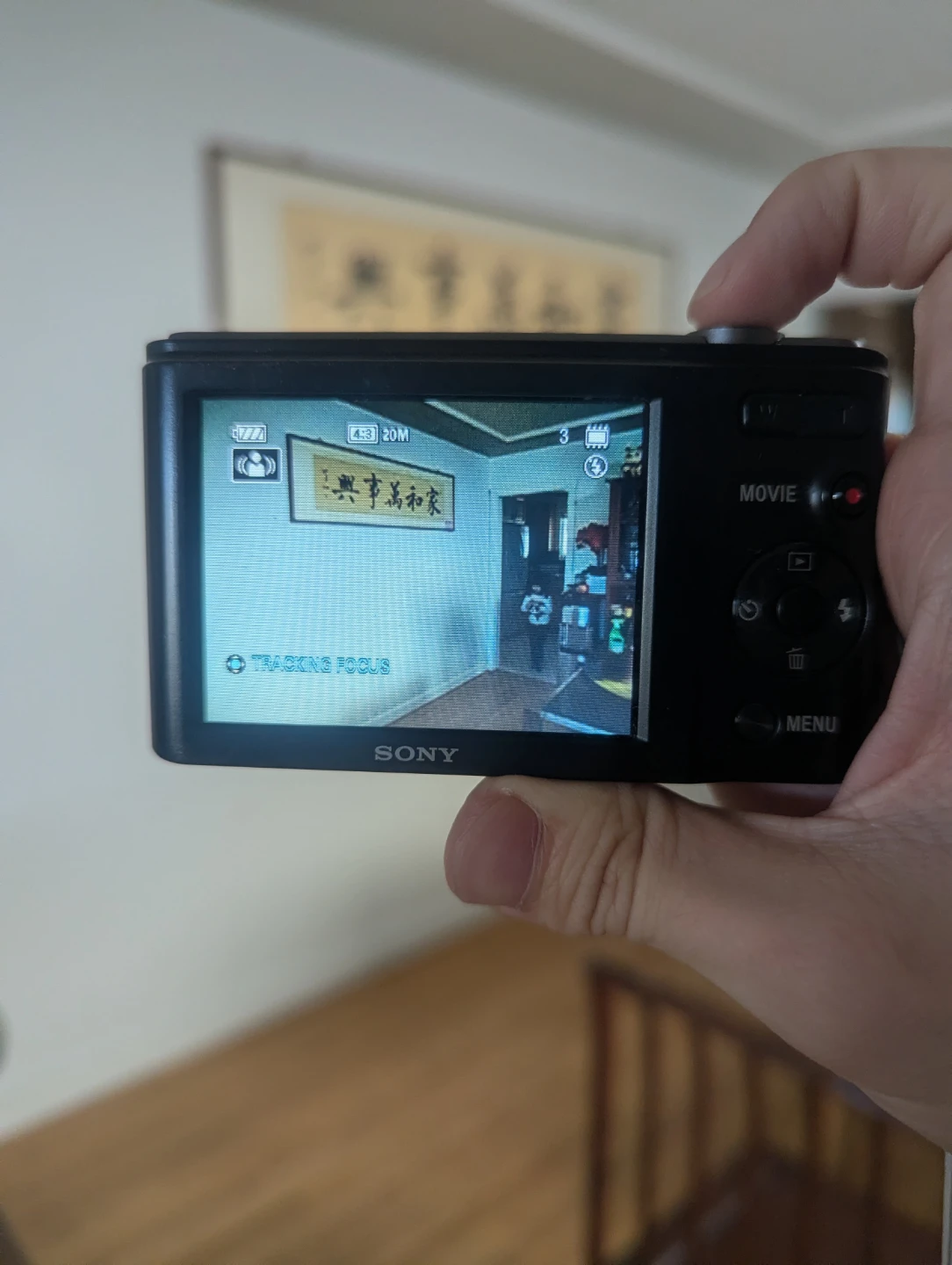 Sony Cyber-shot DSC-W800 Digital Camera - photo 5