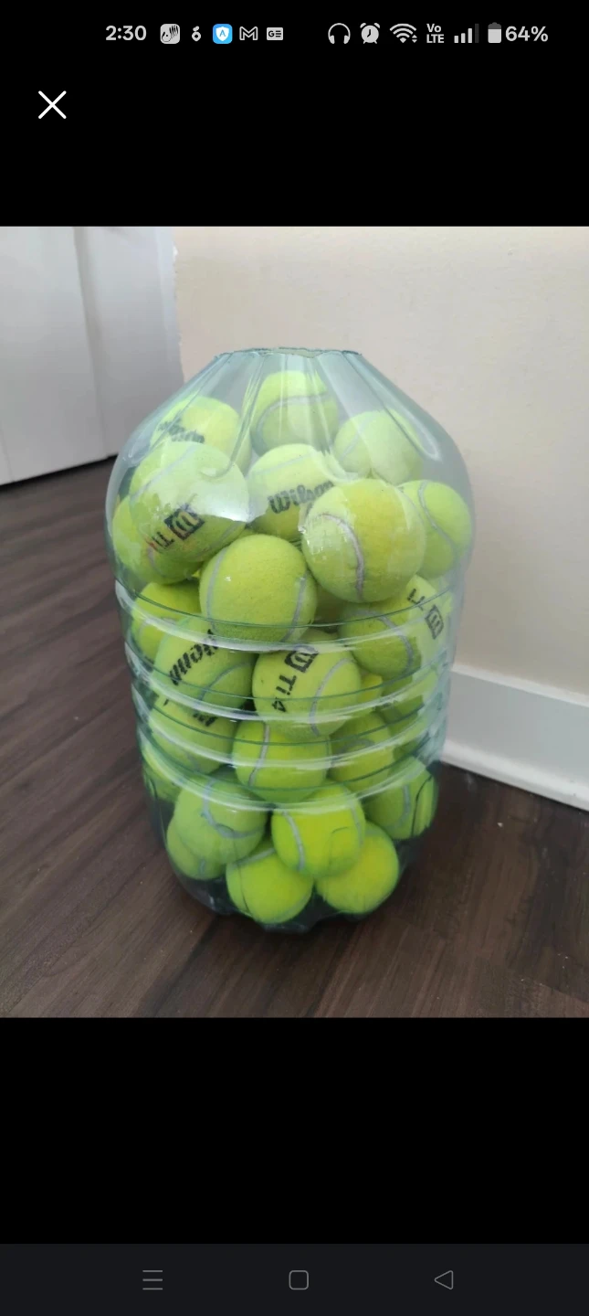 Wilson Tennis Balls (50) 🥕