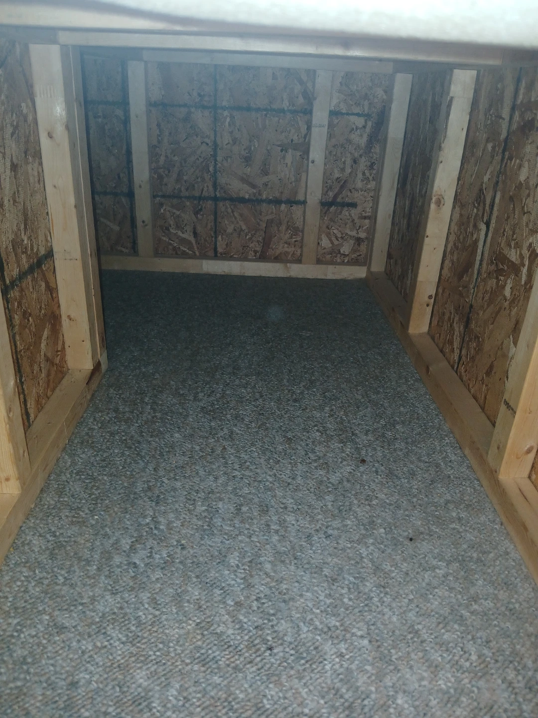 Pet Ramp and Platform - photo 2